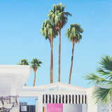 Pretty in Pink - Jarrod Riggs Artist