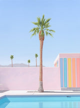 Radiant Vibes - Jarrod Riggs Artist