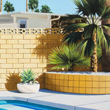 A Perfect Day - Jarrod Riggs Artist